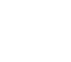 The Purple Turtle Children's Boutique Logo